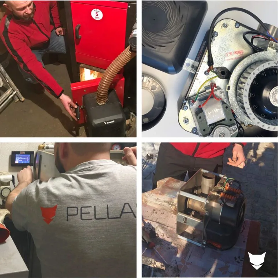 PROMOTION ON PELLASX BURNER INSPECTION